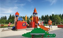 IFA SCHÖNECK - Schöneck