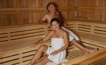 IFA SCHÖNECK - Schöneck