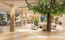 IFA SCHÖNECK - Schöneck