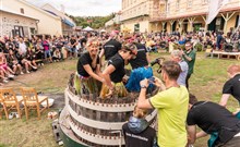 BURČÁKFEST ZNOJMO 2026 - Hotel MARIEL