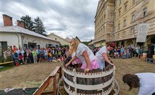 BURČÁKFEST ZNOJMO 2026 - Hotel MARIEL