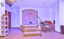 DAS ARBER-HOTEL AM ROTHBACH - Bodenmais