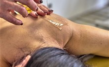 DAS ARBER-HOTEL AM ROTHBACH - Bodenmais