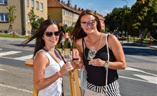 MIKULOVSKÉ SKLEPY OPEN, Hotel TEMPL