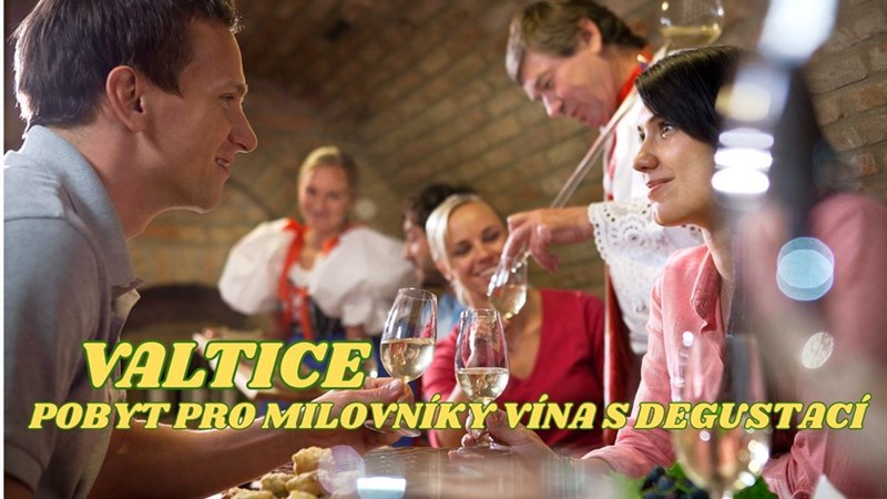 POBYT PRO MILOVNÍKY VÍNA, penzion SIESTA - Valtice