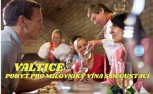 POBYT PRO MILOVNÍKY VÍNA, penzion SIESTA - Valtice