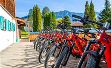 DAS BERGMAYR - CHIEMGAUER ALPENHOTEL - Inzell