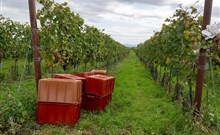VÁCLAVSKÝ BURČÁKOVÝ POCHOD, Hotel PANON - Hodonín