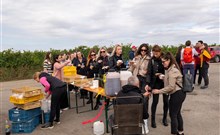 VÁCLAVSKÝ BURČÁKOVÝ POCHOD, Hotel PANON - Hodonín