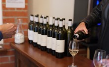 VELIKONOCE NA SLOVÁCKU, Hotel PANON - Hodonín