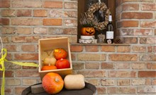 OSLAVY VÍNA A DÝNĚ, Hotel PANON - Hodonín