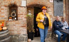 OSLAVY VÍNA A DÝNĚ, Hotel PANON - Hodonín