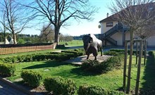 BISON RANCH - Rožnov