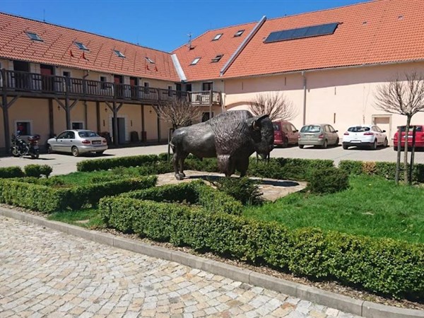 Ubytování