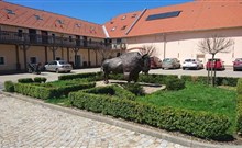 BISON RANCH - Rožnov