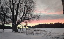 BISON RANCH - Rožnov