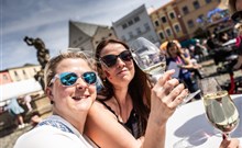 TVARŮŽKOVÝ FESTIVAL OLOMOUC, COMFORT HOTEL OLOMOUC CENTRE