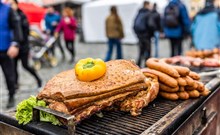 TVARŮŽKOVÝ FESTIVAL OLOMOUC, COMFORT HOTEL OLOMOUC CENTRE