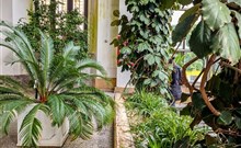 ZÁMEK MOSZNA - oranžerie