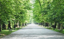 ZÁMEK MOSZNA - zámecký park