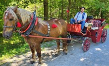 DOVOLENÁ S DĚTMI V TATRÁCH - ATLAS HOTEL TATRY - Tatranske Matliare - Od přístaviště k autobusu se můžete netradičně vychutnat koňským spřežením