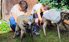 DOVOLENÁ S DĚTMI V TATRÁCH - ATLAS HOTEL TATRY - Tatranske Matliare - A ještě nás čekají zábavné soutěže - už jste si zkoušeli podojit berana :-)?