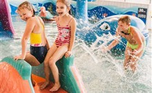 AQUARION FAMILY & FRIENDS - Zakopane - Termální lázně Zakopane