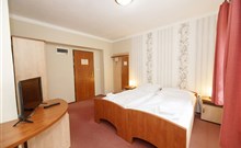 EXCELSIOR - Horní Lomná - Pokoj v hotelu