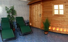 EXCELSIOR - Horní Lomná - Saunový relax