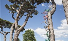PARK ALBATROS VILLAGE - San Vincenzo