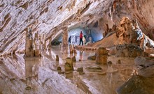 PROTEUS*** - Postojna Cave Rooms & Apartments