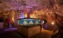 PROTEUS*** - Postojna Cave Rooms & Apartments
