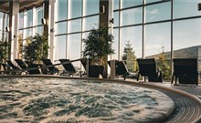 HOTEL & MEDI-SPA BIALY KAMIEŃ - Świeradów - Zdrój