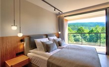 HOTEL & MEDI-SPA BIALY KAMIEŃ - Świeradów - Zdrój - 1 pokojový apartmán STANDARD