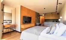 HOTEL & MEDI-SPA BIALY KAMIEŃ - Świeradów - Zdrój - 1 pokojový apartmán STANDARD