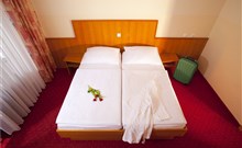 VESNA - Terme Topolšica - Standard pokoj