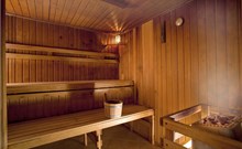 VESNA - Terme Topolšica - Sauny