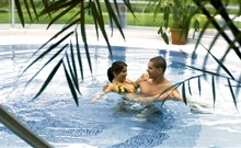 THERMAL HOTEL VISEGRÁD - Visegrád