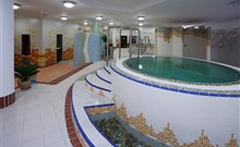 WELLNESS HOTEL PATINCE - Patince - Saunový bazén