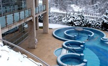 THERMAL HOTEL VISEGRÁD - Visegrád