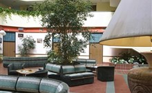 ENSANA THERMAL SÁRVÁR - Hotelové lobby