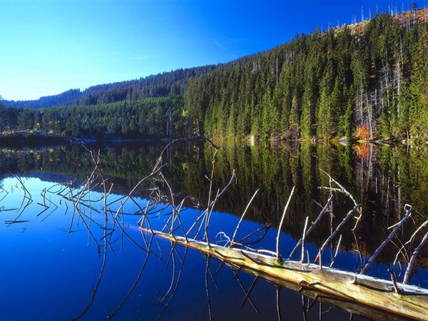 Šumava