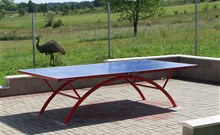 PYRAMIDA - Františkovy Lázně - stolní tenis