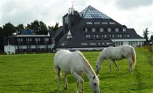 PYRAMIDA - Františkovy Lázně - koně