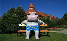 KOLPING HOTEL SPA & FAMILY RESORT - Alsópáhok - Maskot hrošík