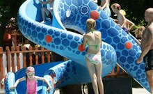 BETTY - Veľký Meder - Thermal Corvinus Veľký Meder