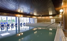ENSANA THERMAL AQUA HEALTH SPA HOTEL - Hévíz - Vnitřní termální bazén