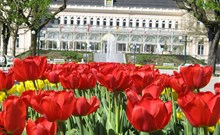 PFANDL - Bad Ischl - Bad Ischl