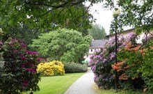 ELIŠKA - Velké Losiny - lázeňský park