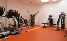 LÁZEŇSKÉ PENZIONY - Konstantinovy Lázně - Fitness